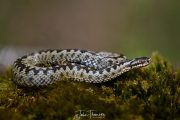 DSC2256-scaled