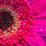 2021-03-21-11-00-36-BRadius22Smoothing4-Edit-Edit-Edit