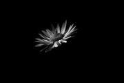 JST_20200604_0067-Edit