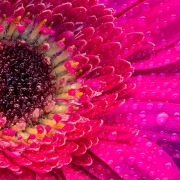 JST_20210503_0005