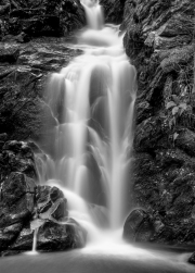 JST_20141101_218-Edit-Edit-Edit-Edit