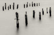 JST_20141101_239-Edit-Edit-Edit