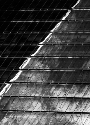 JST_20190307_501