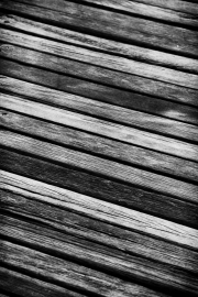 JST_20190308_768