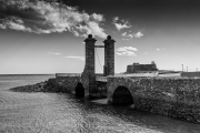 JST_20191021_0003-Edit-Edit