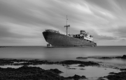 JST_20191022_0219-Edit-Edit-Edit