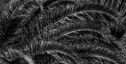JST_20191024_0176-Edit