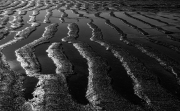 JST_20191114_0056-Edit