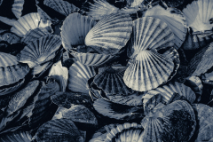 JST063