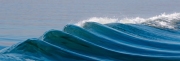 JST_20200121_0474-Edit-2