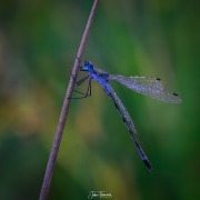 2023-08-23-17-22-24-AR8S3-Edit