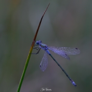 2023-08-23-17-49-35-AR8S3-Edit-2