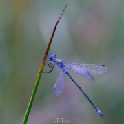 2023-08-23-17-49-35-AR8S3-Edit