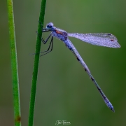 2023-08-23-18-06-57-AR8S3-Edit