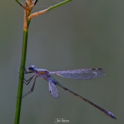 2023-08-23-19-15-16-CS3-Edit