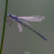 2023-08-23-19-48-21-AR8S3-Edit