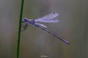2023-08-24-10-23-28-AR8S3-Edit